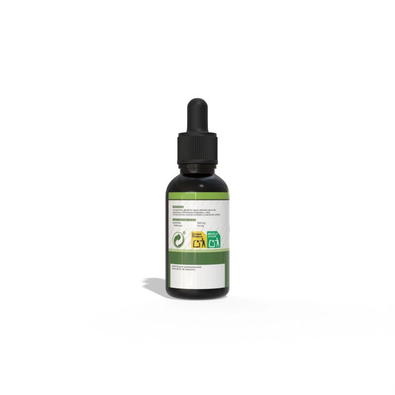 Extracto glicerinado de Equinacea 50ml Sotya - Imagen 2