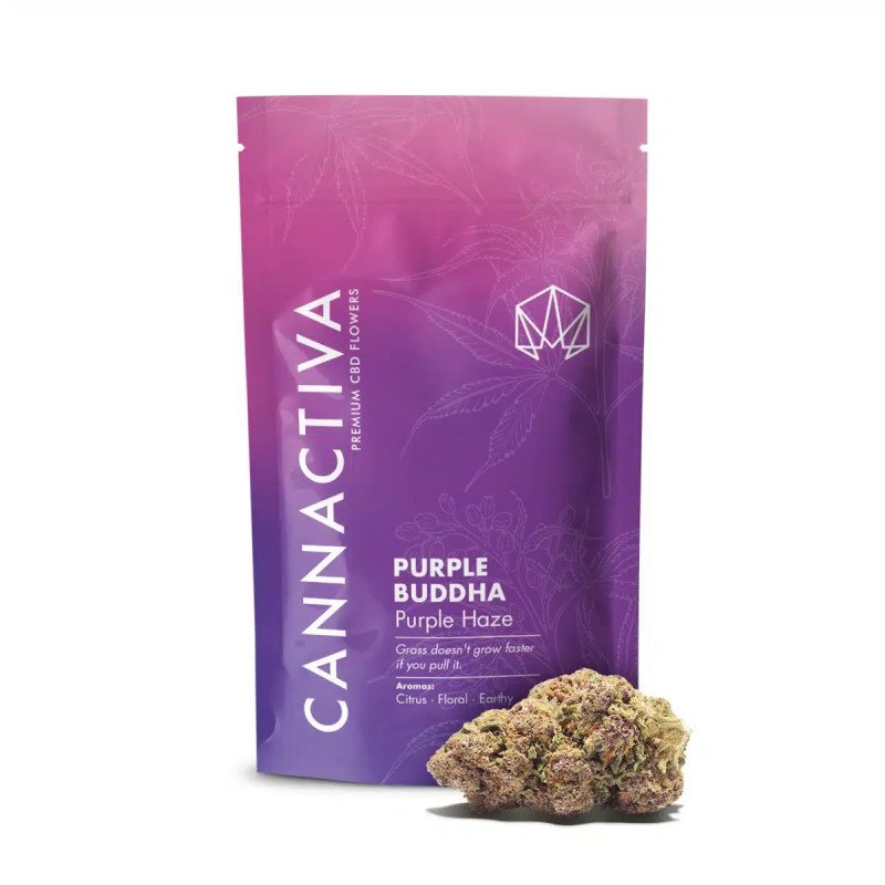 Flor de CBD Premium Purple Buddha-Purple Haze 2g Cannactiva - Imagen 2